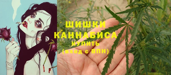 стафф Куйбышев
