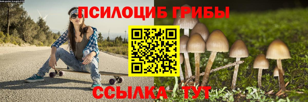 Псилоцибиновые грибы прущие грибы  Псилоцибиновые грибы Psilocybine cubensis  Вход с VPN  Благовещенск 